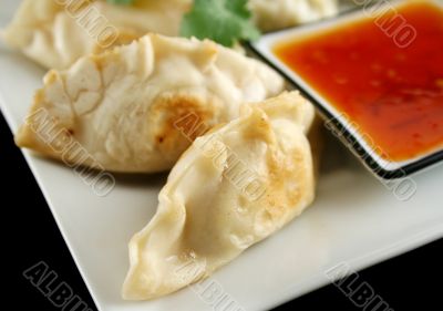 Chinese Dumplings 3