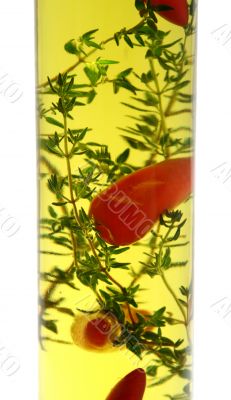 Chillies And Thyme 3