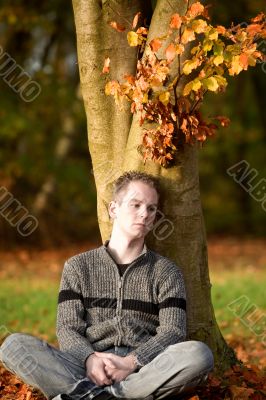Autumn colors