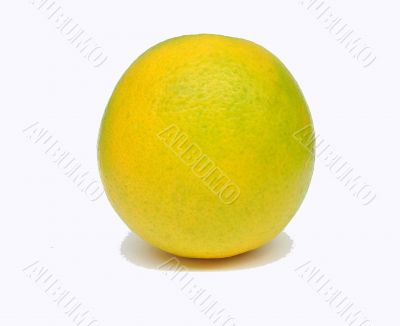 isolated orange