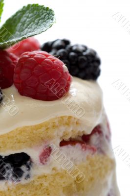 Sumptuous dessert