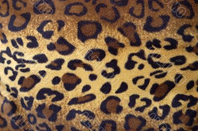 Leopard skin pattern