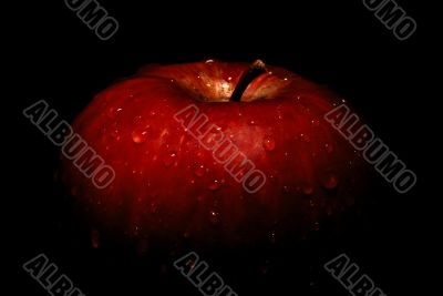 wet apple