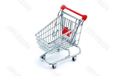 Shopping cart