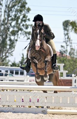 Horse Hurdling