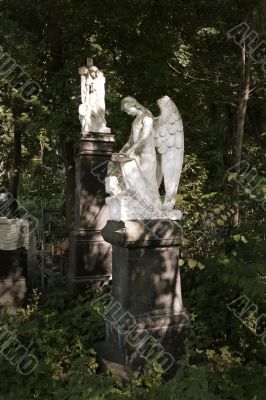 angel