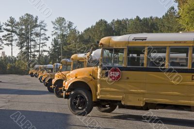 Line of School Buses