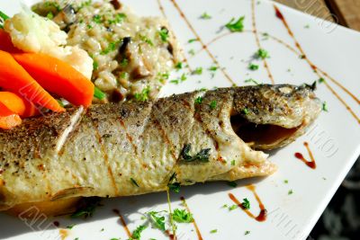 seafood at the restaurant