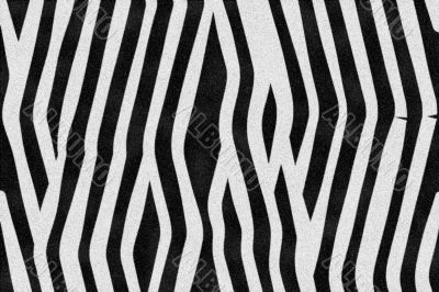 Zebra Stripes