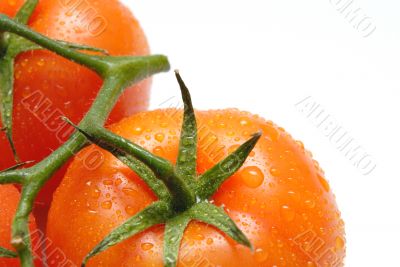 tomato