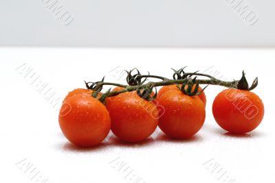 tomato