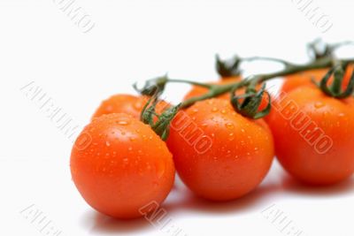 tomato