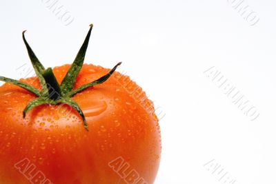 tomato