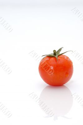 tomato