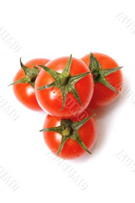 tomato