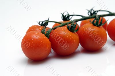 tomato