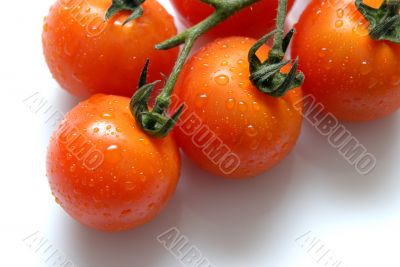 tomato