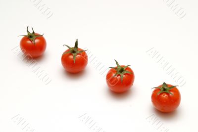 tomato