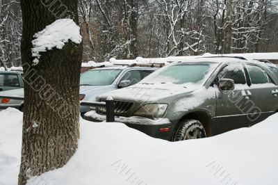 Cars in the winter