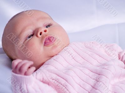 Baby Girl Portrait