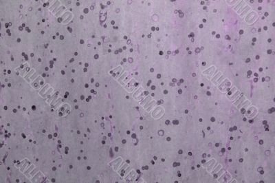 Lavender Spots