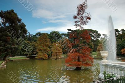 Autumn park