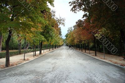 Park alley