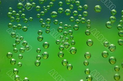 Bubbles