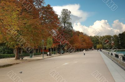 Park alley
