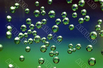 Bubbles