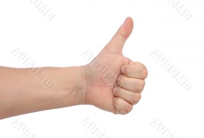 Thumb up