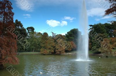 Autumn park