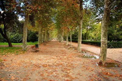 Park alley