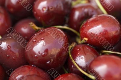 red cherries