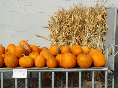 Pumpkins on sale