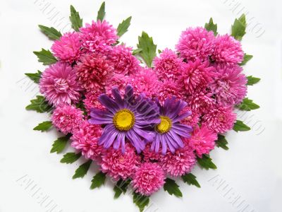 heart love