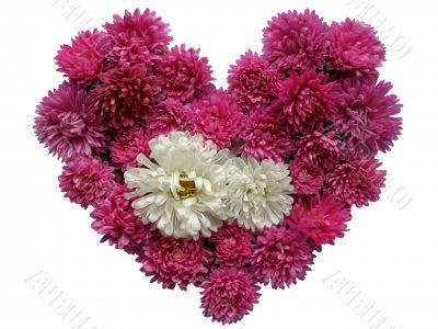  floral heart