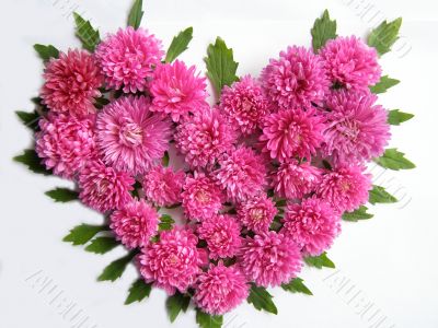  Autumn flowers