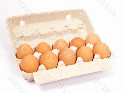 eggs