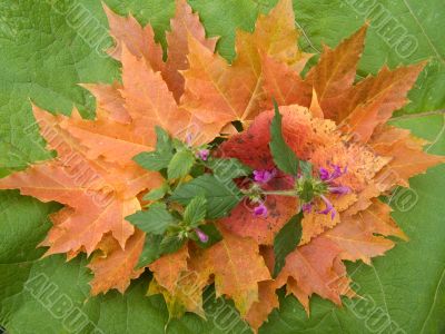 Autumn still life