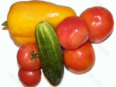  Vegetables on white