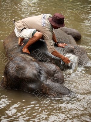 Elephant keeper