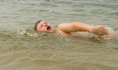swims the crawl