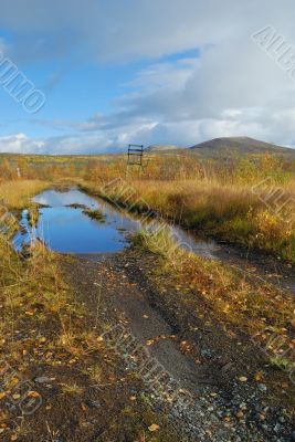 Road in a countryside