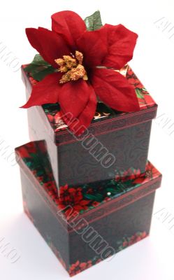 Red Poinsettia on Box of Gifts