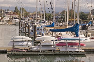 Boats in Rack