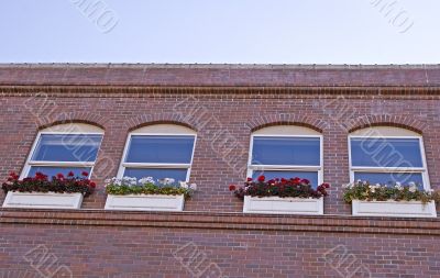 Blue Windows and Flower Boxes