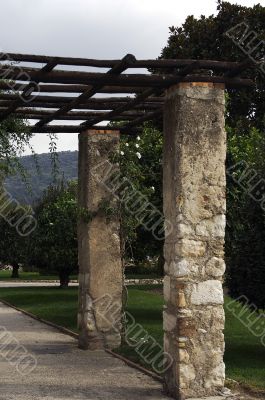 Vineyard