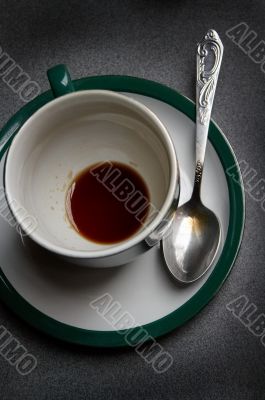 cup and the spoon