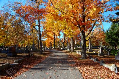 cemetery in autumn